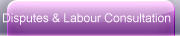 Disputes & Labour Consultation